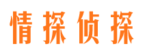 偃师寻人公司